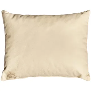 Centaur - Deko Lederkissen 50 x 40 cm für Sofa oder Schlafzimmer Champagner/beige - Echt Leder Kissen Echtleder Sofakissen Lederoptik