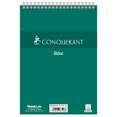 Hamelin Conquerant Stereo-Notizbuch, A5, blanko, 100 Seiten, grüner Karton, 10 Stück