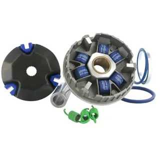 Variomatik Polini Hi-Speed für Minarelli stehend