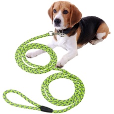 Relaxdays Hundeleine reflektierend, 2,5 m lang, mit Schlaufe, Leine für kleine & mittelgroße Hunde, bis 17 kg, grün/grau