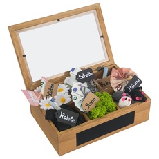 SURPRISA Schotter Schatulle 6er - kreative Verpackung für Geldgeschenke und persönliche Geschenkbox zum Geburtstag oder zur Hochzeit - Pinienholz