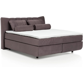 Mivano Free Boxspringbett mit Durchgehender Matratze (H2) und Premium Topper, Velours Cosy Braun, Liegefläche 140 x 200 cm