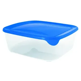 CURVER FRESH & GO Frischhaltedose , Vorratsdosen aus Kunststoff, Fassungsvermögen: 500 ml, Maße: 16,7 x 12,7 x 4,6 cm