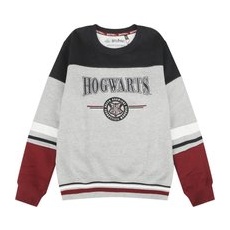 Harry Potter  Kids - Hogwarts - England Made  Kinder-Sweatshirt  multicolor