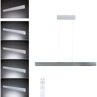 Paulmann Licht Raiko 2-flg. RGBW 60 cm rund silber