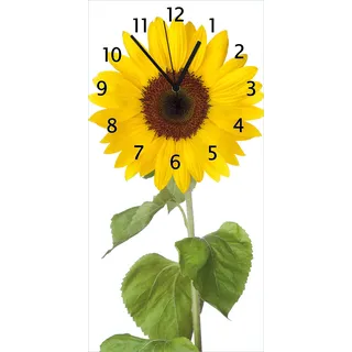 Wallario Design Wanduhr Sonnenblume aus Echtglas, Größe 30 x 60 cm - Weiß