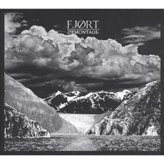 Musik Demontage / Fjort, (1 LP + Downloadcode)