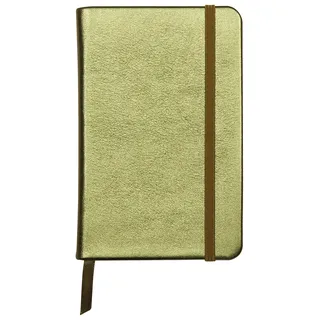 Clairefontaine 400097C Notizbuch (mit Perlmutt-Effekt mit festem Deckel aus Leder, DIN A6, 10,5 x 14,8cm, 72 Blatt, blanko, Gummizugverschluß, Lesezeichen) 1 Stück grün