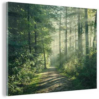 MuchoWow© Wandbilder Glas Schlafzimmer Home Deko Wohnung Bild Wohnzimmer | 80x60 cm - Wand Glasbilder Leinwand Wall Decor Wald - Sonne - Pfad - Bäume - Grün - Natur