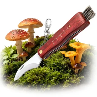 HONGECB Pilzmesser mit Bürste & Lineal – Professionelles Schwammerlmesser für Pilzsammler mit Holzgriff | Klappmesser mit gebogener Edelstahl Klinge | Ideales Pilz Taschenmesser Geschenk (21 cm)