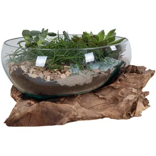 Dekoschale , Klar, Teakfarben , Holz, Glas , Teakholz , bauchig , 20 cm , Dekoration, Dekoschalen