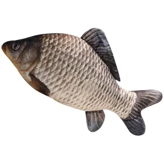 Champracer 3D Fisch Kissen Großes Plüschkissen für Kinder, lustiges Fischkissen, weiches Kuscheltier (Karpfen B, 30 cm)
