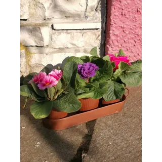 Edelrostoptik Pflanztablett Seluna mit 3 Töpfen