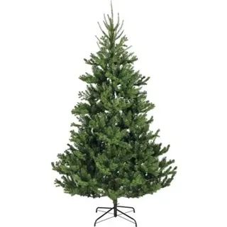 künstlicher Weihnachtsbaum Tannenbaum Everlands Alba Fir Ø 137 cm H 240 cm