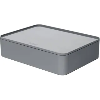 HAN Aufbewahrungsbox 26,0 x 19,5 x 6,8 cm 1-tlg. grau