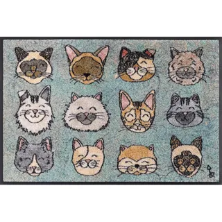 Wash+Dry Fußmatte Glückskatzen Katzen 50x75 cm