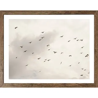 Bönninghoff Bild mit Rahmen "Wandbild gerahmt VÖGEL AM HIMMEL 40x50 cm – Wanddeko Natur Minimal" Himmel  Landschaft  Natur  Vogelbilder  Vögel 1 Stk. tlg. mit dekorativem Rahmen, farbe rahmen: schwarz oak, farbe bild(er): schwarz, weiß