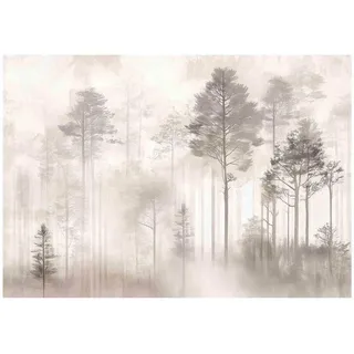 WallArena Fototapete, Wald Vintage Betonwand 250x175