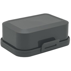1x Hochwertige Stapelbare Butterdose mit Verschluss, Plastik-box-dose, Perfekte Ordnung im Kühlschrank BPA-Frei Mehrzweck dunkel-grau
