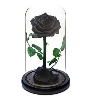 INTIGNIS Ewige Rose für Immer, Frische Rose Geschenk, Konserviert für 5 Jahre, Handarbeit, Geschenke für Frauen Geburtstag einzigartig Ungewöhnliche | Muttertag, Jahrestag, Weihnachten Valentinstag