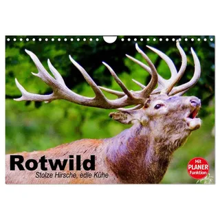 Rotwild. Edle Hirsche, stolze Kühe (Wandkalender 2026 DIN A4 quer), CALVENDO Monatskalender: Die mächtigsten und größten Wildtiere unserer Wälder (CALVENDO Tiere)