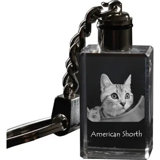 Amerikanisch Kurzhaar - Wanduhr mit Katze, Regal Uhr mit Druck, personalisierte Hausdekoration von Art-Dog.