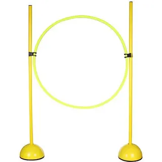 DS 10 Hindernisset Variante 20215