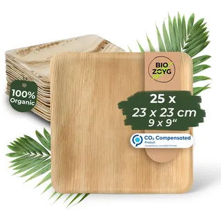 BIOZOYG Einwegteller 25 Stück 23x23 cm Palmblatt-Teller - Einweggeschirr kompostierbar - hochwertige Alternative für Bambus Teller und Pappteller - Partygeschirr