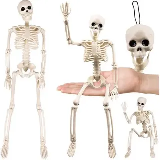Halloween-Skelett-Dekoration, 40 cm, bewegliche Gliedmaßen
