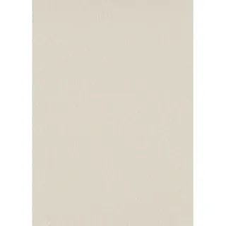 Erismann Vliestapete Colour Passion 10,05 m x 0,53 m 0 g Beige 10393-02