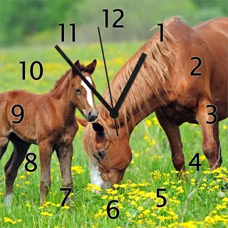 Wallario Design Wanduhr Pferde auf der Koppel aus Echtglas, Größe 30 x 30 cm - Grün