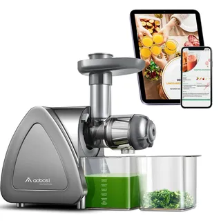 AAOBOSI Aobosi Slow Juicer Entsafter Gemüse und Obst Testsieger, Reversierfunktion,150w leisem Motor,Saftpresse Elektrisch mit Reinigungsbürste für hohe Saftausbeute, Grau- BPA Frei