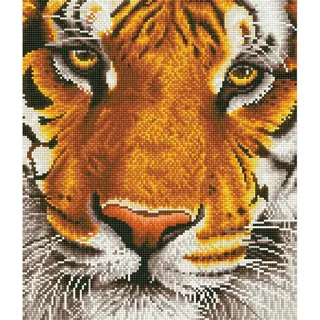 Diamond Dotz 42x36 cm