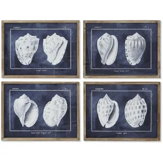 Home ESPRIT Bild Muschel 60 x 2,5 x 45 cm (4 Stück)