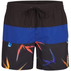 Bild von Men's Frame Block Shorts Men Swim, Blue Multi, XS