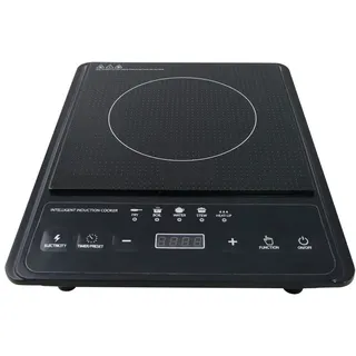 Esperanza EKH011 Black Induction Cooker