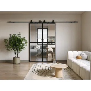 Doppel-Schiebetür mit Laufschienensystem - Aluminium & Sicherheitsglas - 2 x 205 x 63 cm - WILDEN II