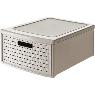 Rotho Schubladenbox 45 x 34 x 20 cm 1-tlg. beige
