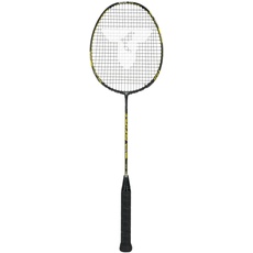 Bild Badmintonschläger Isoforce 651