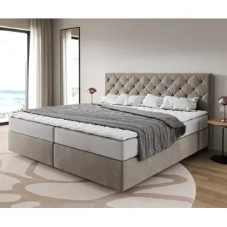 Boxspringbett Dream-Great Mikrofaser Beige 200x200 cm mit Taschenfederkernmatratze und Topper Visco
