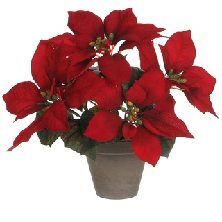 Mica decorations Ponsettia Pflanze im Topf 27 x 35 cm Weihnachtsstern