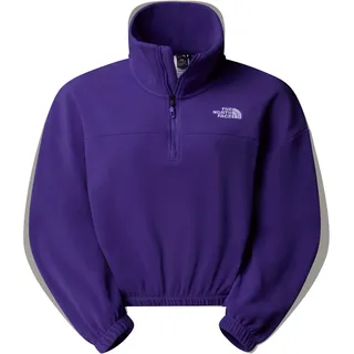 The North Face Damen 100 Glacier Half Zip Fleece Pullover (Größe S, lila)