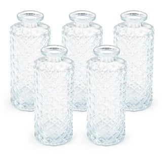 Blümelhuber 5er Set Kleine Vase Glas Deko Hochzeit - Vase Klein - Vase Modern - Deko Frühling - Pflanzen Deko Trockenblumen Set Vasen Hochzeitsdeko (Weiß)