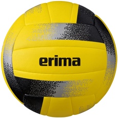 Bild Hybrid Volleyball