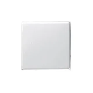Gira Wechselschalter System 55