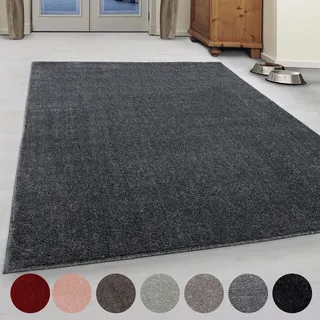 Ata Kurzflorteppich 160 x 230 cm grau