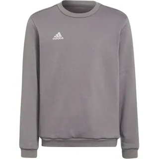 Adidas Entrada 22 Sweatshirt Team Grey Four Größe 1314