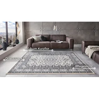 HANSE HOME Nouristan Orientalischer Kurzflor Teppich Parun Täbriz Creme Grau, 80x150 cm