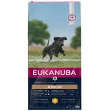 Eukanuba Developing Junior Large Breed Chicken 12KG