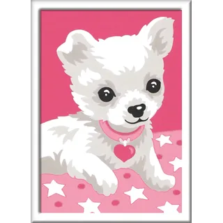Ravensburger Chihuaha Malen nach Zahlen 5 St. Gelb/Mehrfarbig